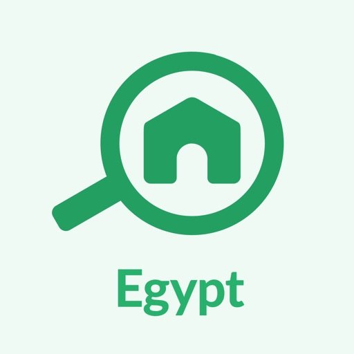 Bayut Egypt, Google Ads & Performance Max by Pixelique Digital